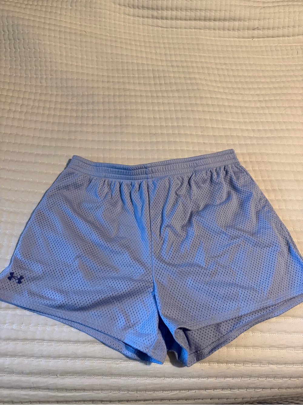 Under Armour Lavender Mesh Training Shorts